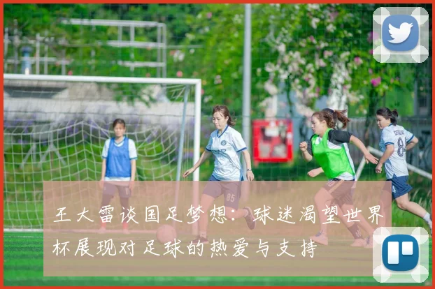 王大雷谈国足梦想：球迷渴望世界杯展现对足球的热爱与支持