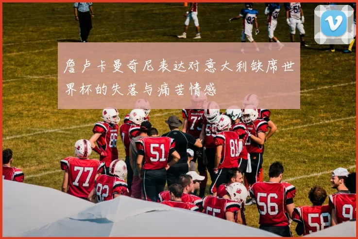 詹卢卡曼奇尼表达对意大利缺席世界杯的失落与痛苦情感