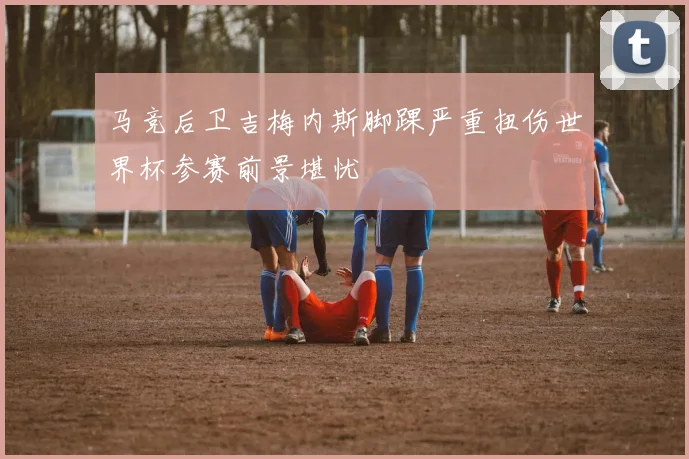 马竞后卫吉梅内斯脚踝严重扭伤世界杯参赛前景堪忧