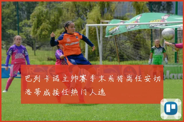 巴列卡诺主帅赛季末或将离任安切洛蒂成接任热门人选